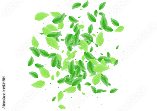 Greenish Vegetation Background White Vector. Leaf Abstract Texture. Forest Frame. Light Green Set Illustration. Leaves Light.