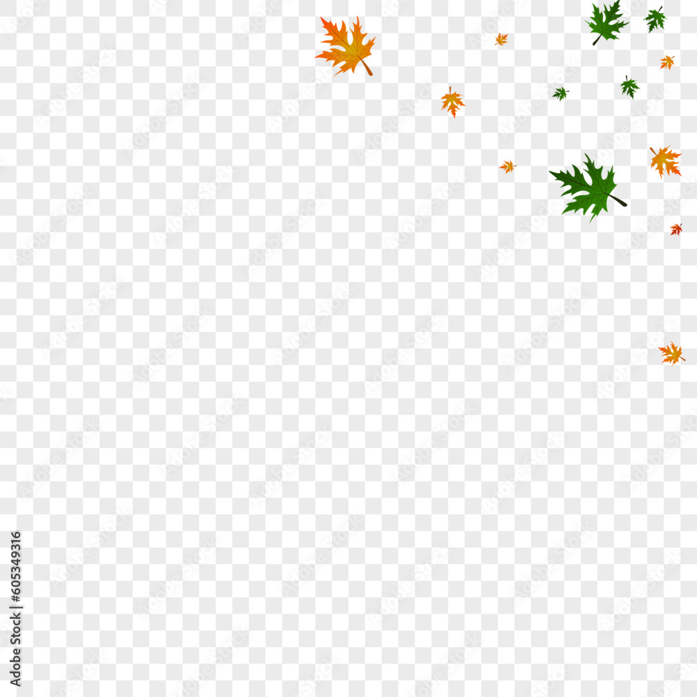 Green Plant Background Transparent Vector. Maple Decoration Template. Yellow Canadian. Bright Pattern. Brown Foliage Nature. Green Plant Background Transparent Vector. Maple Decoration Template. Yellow Canadian. Bright Pattern. Brown Foliage Nature.