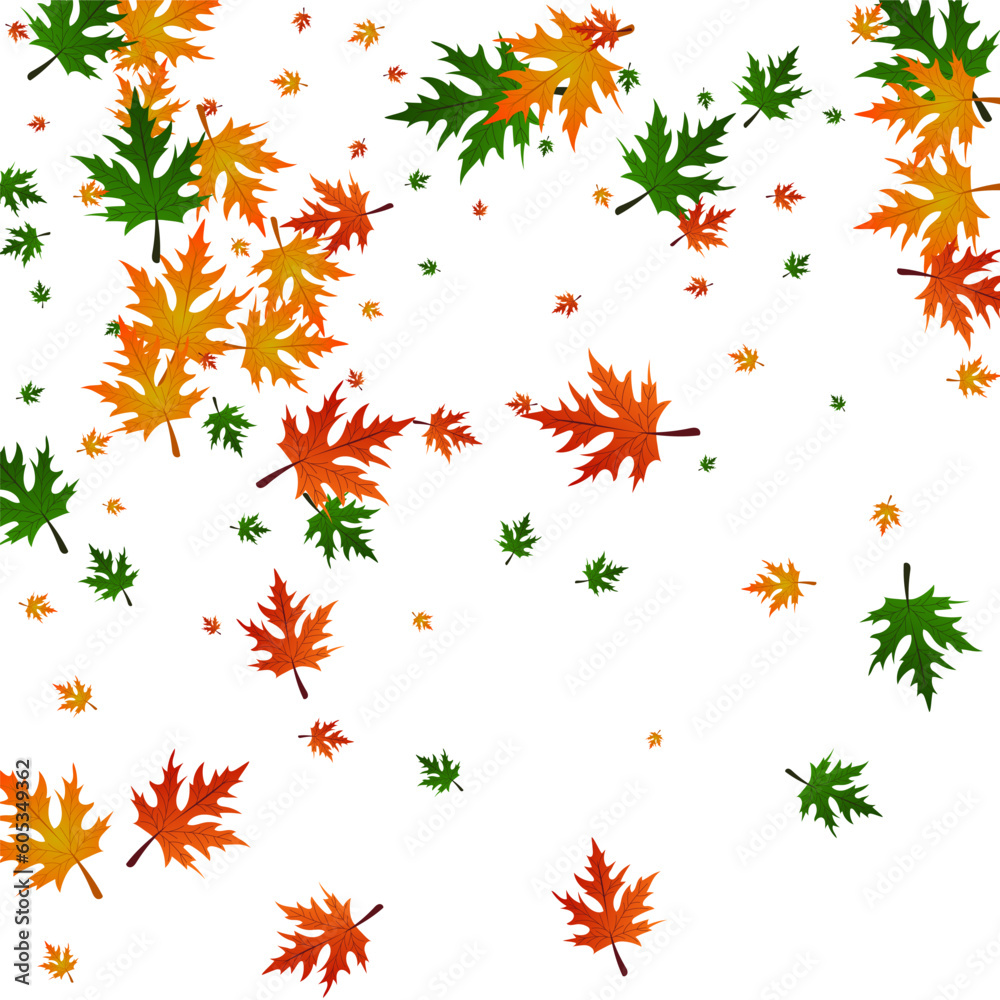 Orange Plant Background White Vector. Leaf Celebrate Template. Gold Decor. Collection Illustration. Green Maple Flying.