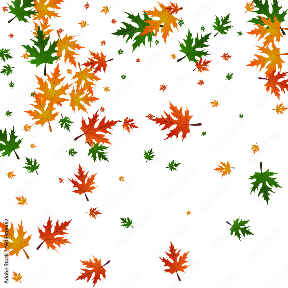 Orange Plant Background White Vector. Leaf Celebrate Template. Gold Decor. Collection Illustration. Green Maple Flying. Orange Plant Background White Vector. Leaf Celebrate Template. Gold Decor. Collection Illustration. Green Maple Flying.