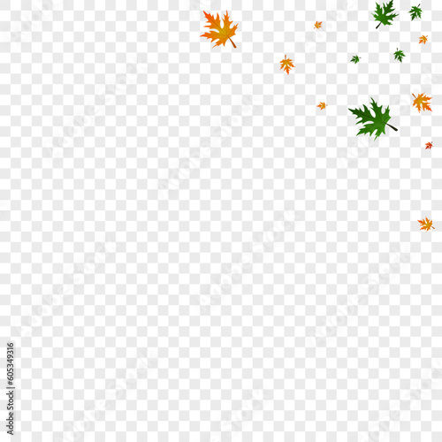 Green Plant Background Transparent Vector. Maple Decoration Template. Yellow Canadian. Bright Pattern. Brown Foliage Nature.