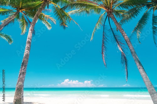 Fototapeta Naklejka Na Ścianę i Meble -  Tropical palm tree with blue sky and cloud abstract background. Summer vacation and nature travel adventure concept.