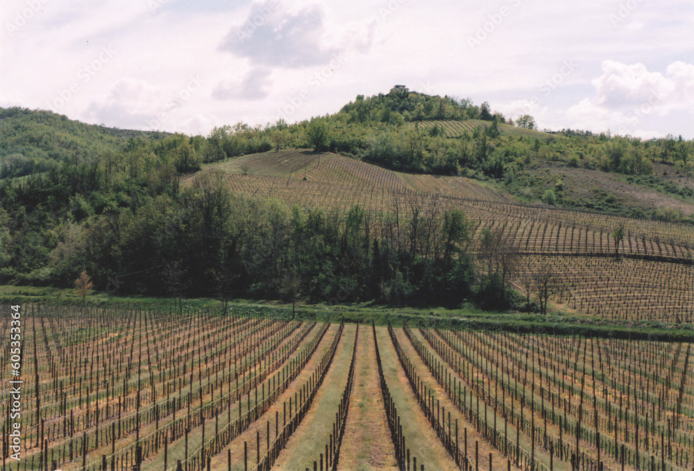 Vineyards and Hills Landscape in Northern Italy. Fortunago, Pavia Province. Film Photography