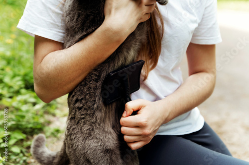 close-up of a hand combing a cat from shedding wool. cat brush. combing outside