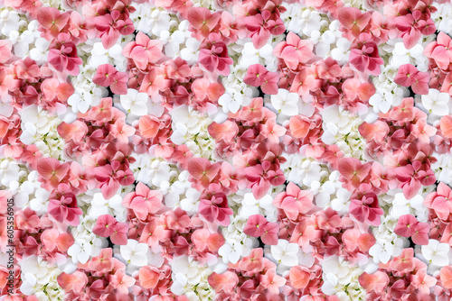   Beautiful blossoming tender pink and white hydrangea flowers texture. Realistic hydrangea flowers seamless pattern © Katynn