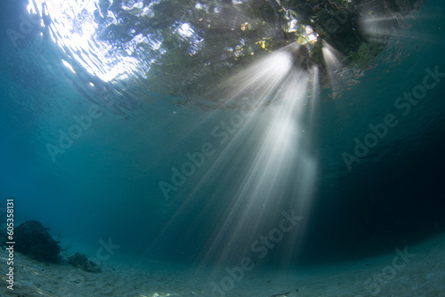 Fototapeta Naklejka Na Ścianę i Meble -  Beams of bright sunlight flicker underwater on the edge of a tropical island in West Papua, Indonesia. This area and its warm waters is home to high marine biodiversity.