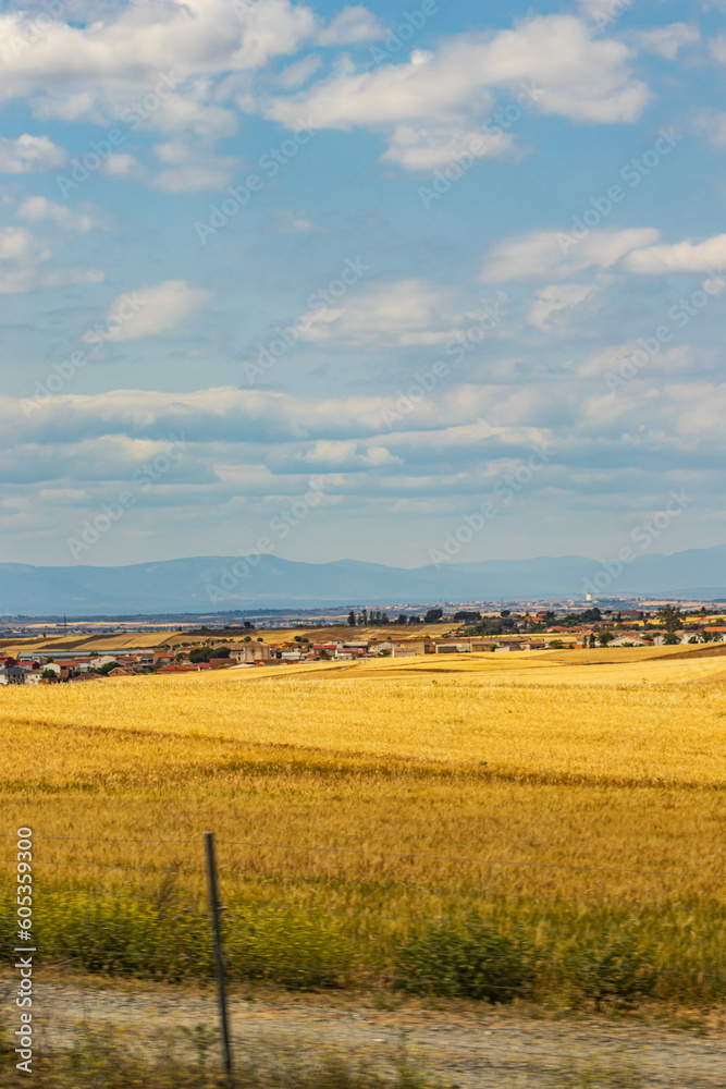 Fototapeta premium Pradera y pueblo