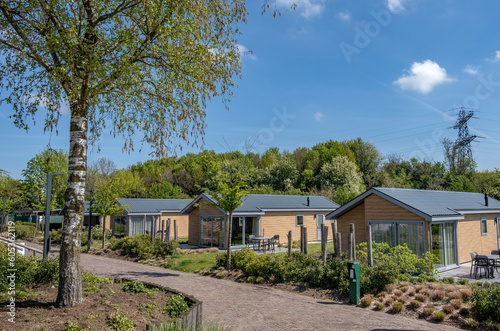 Holiday houses in the park in the Netherlands