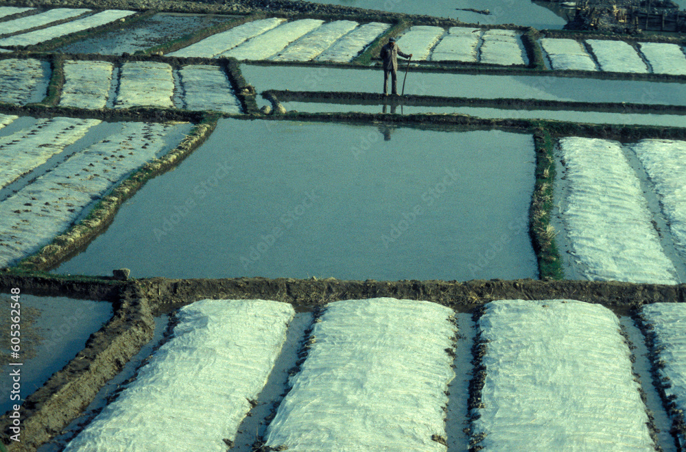 Obraz premium CHINA YUNNAN DALI ERHAI LAKE