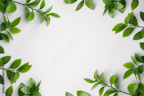 Natural green branches with leaves on empty light grey background with copy space. Trendy template with fresh plant. Eco summer flat lay. Cosmetic product marketing. Top view. Minimal composition.