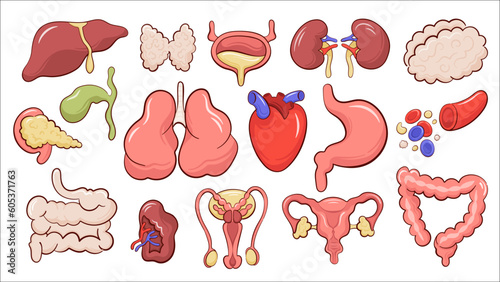 Set of isolated icons with  different human internal organs cartoon style