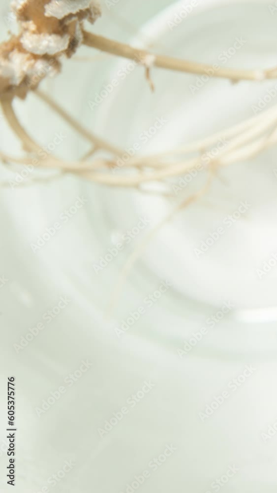 A small avocado tree has developed roots in a glass of water, macro slider shot, top-down view. Vertical video. A small avocado tree has developed roots in a glass of water, macro slider shot, top-down view. Vertical video.