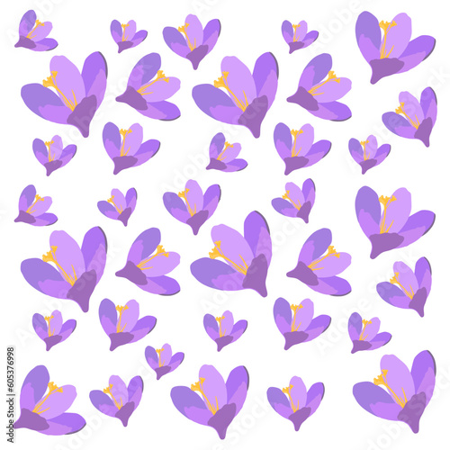 Collection of crocuses and saffrons. A set of spring purple, yellow and white crocuses. Vector illustration of beautiful multicolored flowers