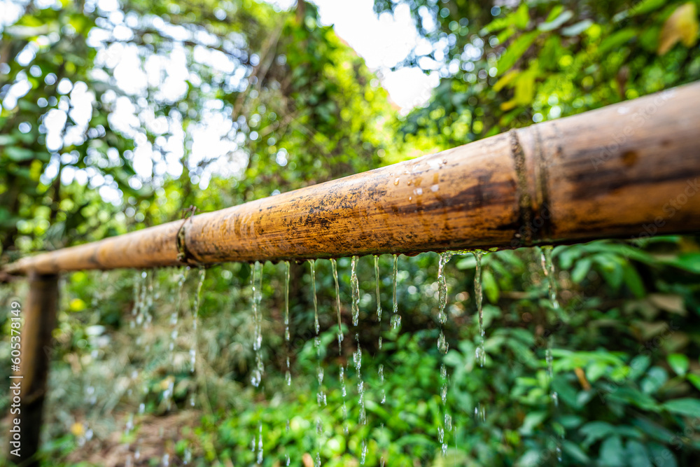 Fototapeta premium A water feature where a stream let of water flows out of one bamboo pole into another.