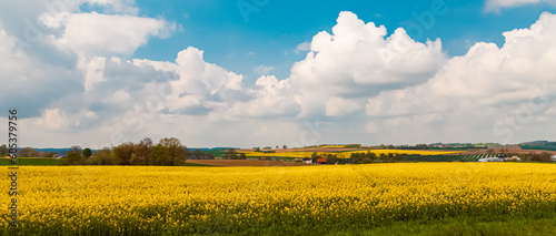 Spring view with yellow canola fields near Denkendorf, Bavaria, Germany