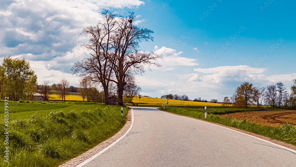 Fototapeta premium Spring view with yellow canola fields near Wallerfing, Deggendorf, Bavaria, Germany