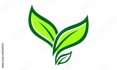 green leaf nature ecology logo vector