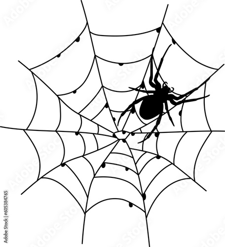 Scary black spider web isolated on white. Spooky halloween decoration.