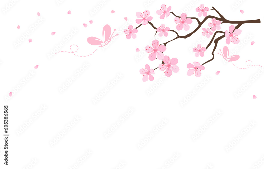 Cherry blossom branch, Sakura flower on white background vector. 