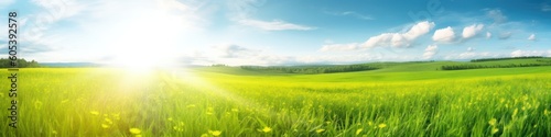 Beautiful panoramic natural landscape of a green field with grass against a blue sky with sun. Spring summer blurred background