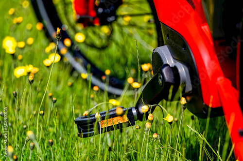 Wallpaper Mural Close-up of a bicycle pedal with a reflector in the middle of a flower meadow photographed out of focus. Torontodigital.ca