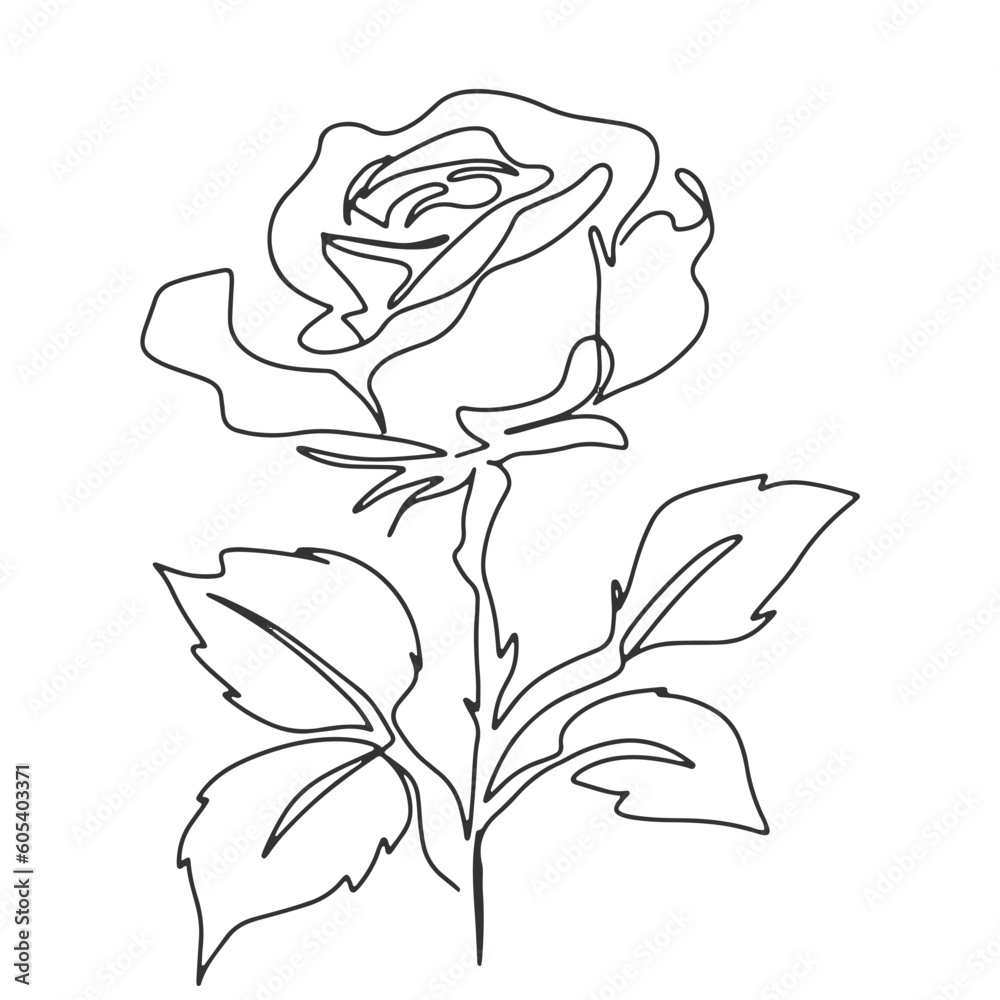 continuous line one line rose flower nature valentine hand drawn illustration vector continuous line one line rose flower nature valentine hand drawn illustration vector