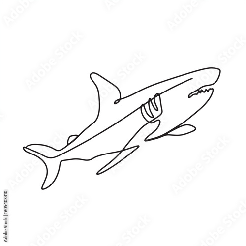 continuous line one line aquatic animal shark hand drawn illustration vector