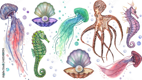 The shells, seahorses, jellyfish, seashells, starfish, algae, coral, included in this collection of 22 hand-drawn marine elements