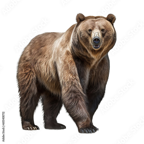 Bear isolated on transparent background Generative AI © mooxlabs