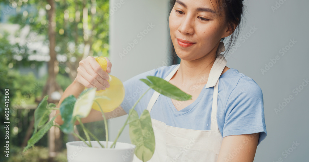 Cheerful happy Asian girl wear apron watering plants in pot at cozy home garden. Asia lady gently water a plants by using water spray, Gardening making homework domestic life concept. Cheerful happy Asian girl wear apron watering plants in pot at cozy home garden. Asia lady gently water a plants by using water spray, Gardening making homework domestic life concept.