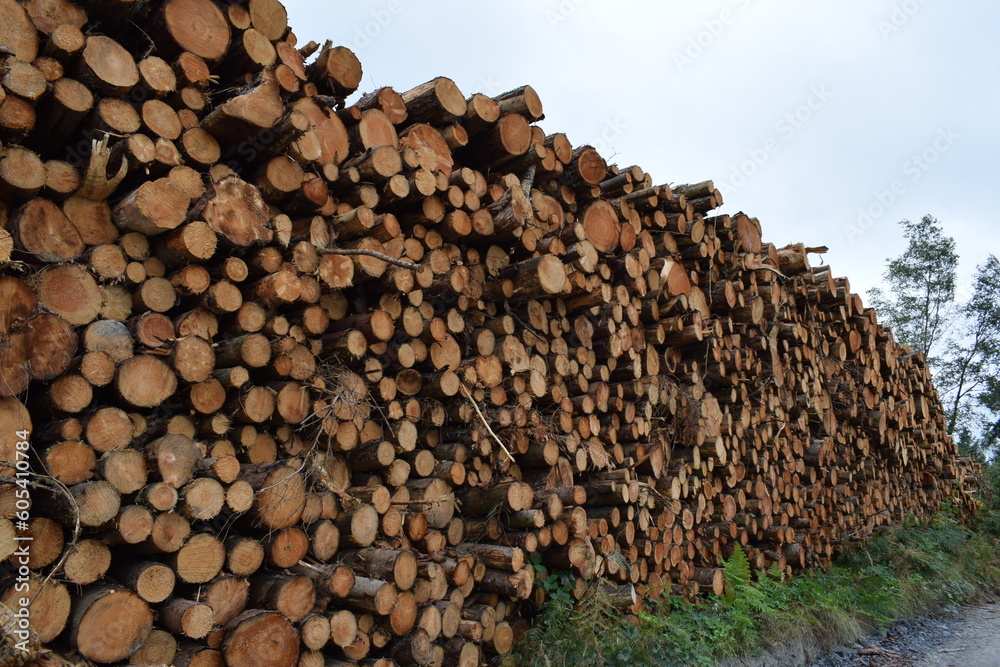 stack of logs