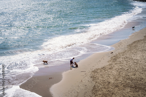 Man Playing with Dogs on the Beach