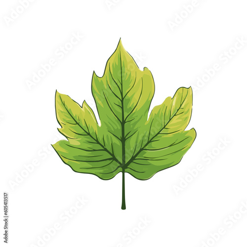 Vector illustration in simple flat style with copy space for text background with plants and leaves backdrop for greeting cards, posters, banners and placards