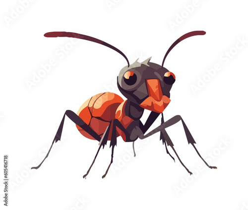 Animal insect ant