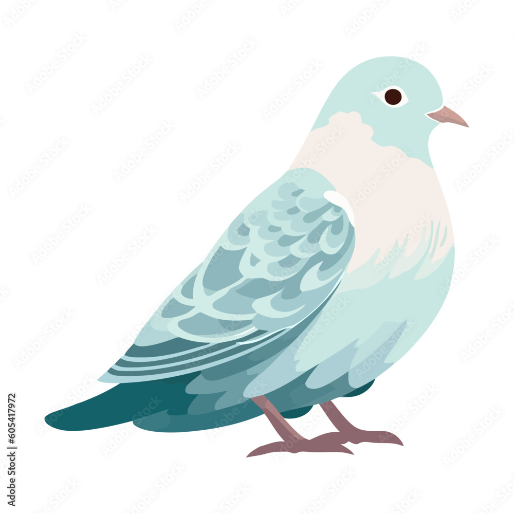 Cute pigeon perching on white backdrop Cute pigeon perching on white backdrop