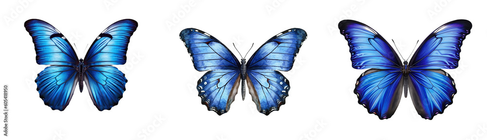 Set of blue butterfly isolated on white and transparent background ...
