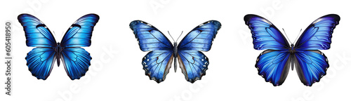 Set of blue butterfly isolated on white and transparent background. Generative AI © Aziz