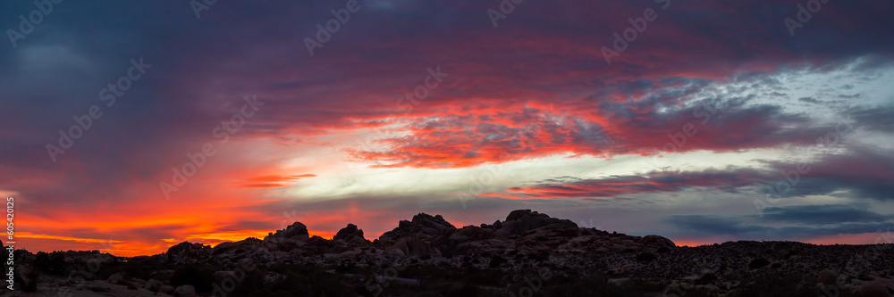 Fototapeta premium Panoramic view of Joshua Tree National Park with bright pink, purple, red, orange sunset skies with dark silhouette of rocks, trees landscape in fall, autumn. 