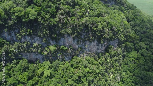 Jungle Canyon, aerial  photo