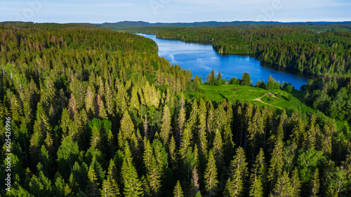 Summer landscapes of Karelia photo
