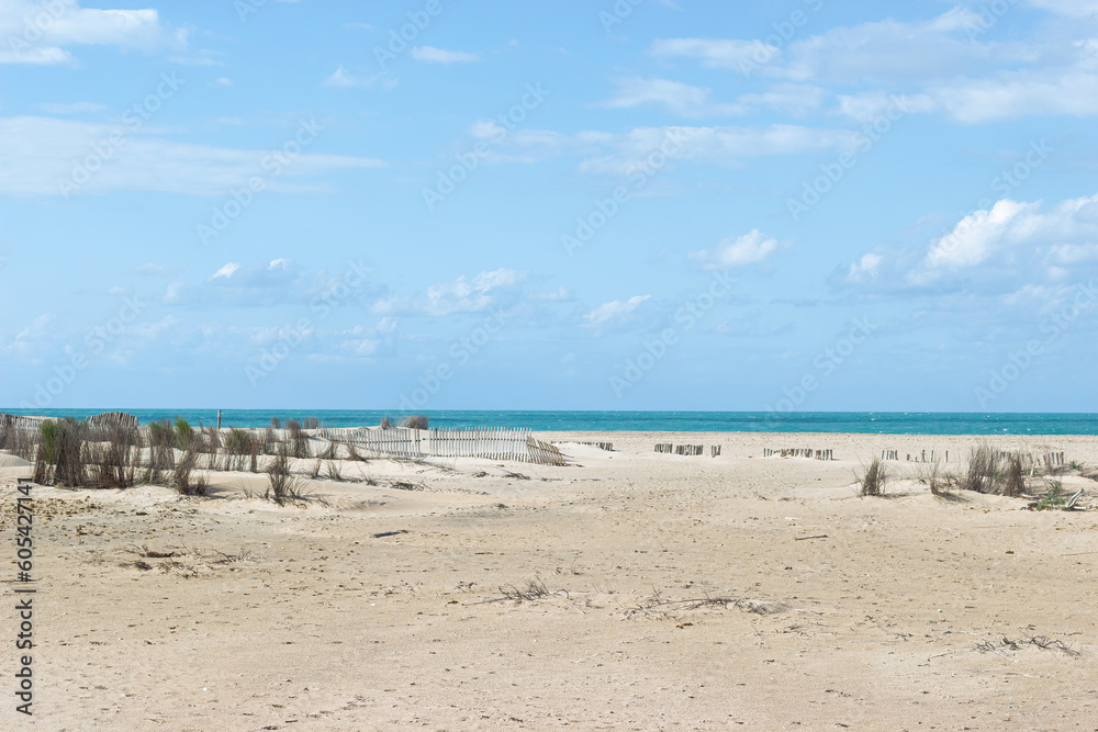 Dune regeneration at Camposoto beach on the Atlantic coast with the ocean in the background; San Fernando; Cadiz; Andalusia; Spain.