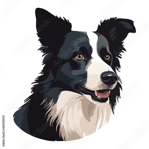 Smiling sheepdog sitting, loyal and cute