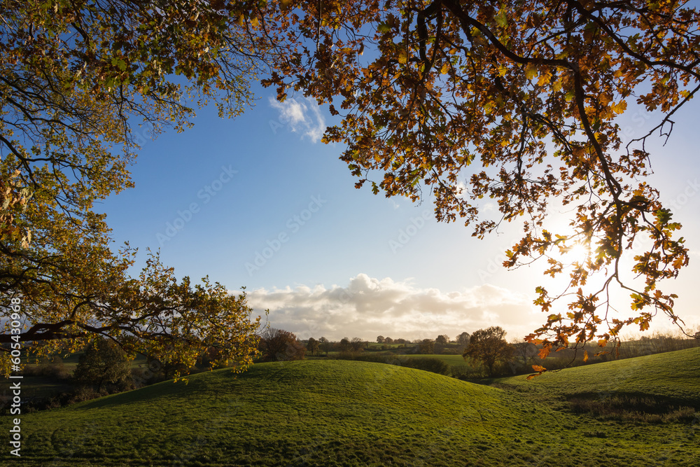 Fototapeta premium Felder und Hügel, Herbst Landschaft, Wallpaper 