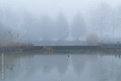An Image of a two-level-pond a city park on a misty day