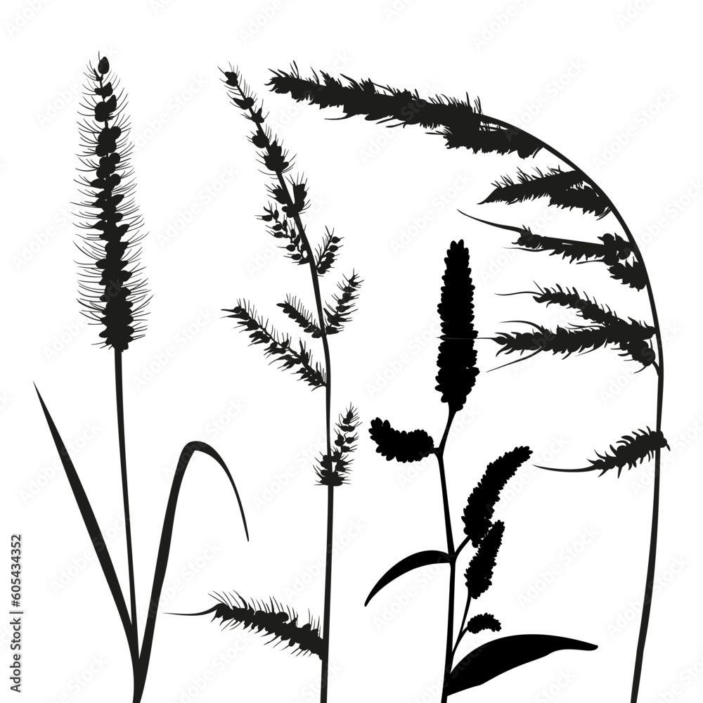Obraz premium vector set of dry grass silhouette sketch for card design, wallpaper, textile, fabric pattern on white background