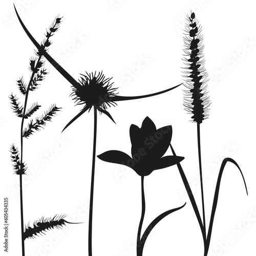 vector set of dry grass silhouette sketch and flowers for card design, wallpaper, textile, fabric pattern on white background