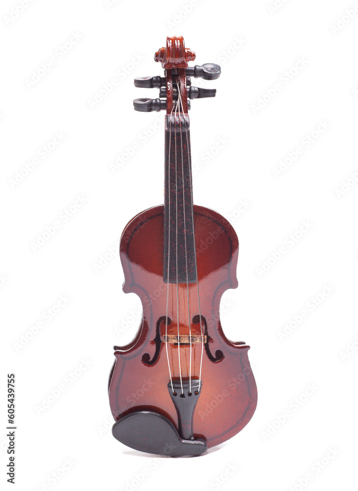 Fototapeta premium Violin isolate on white background
