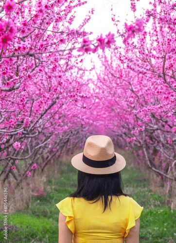 Woman wearing yellow dress and a hat in a blooming field with pink peach trees in spring time season