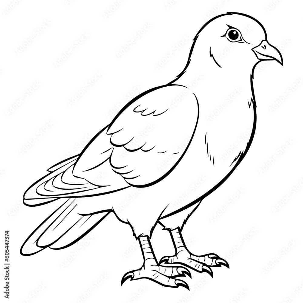 Obraz premium Coloring page pigeon