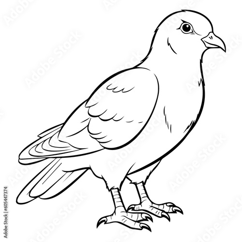 Coloring page pigeon